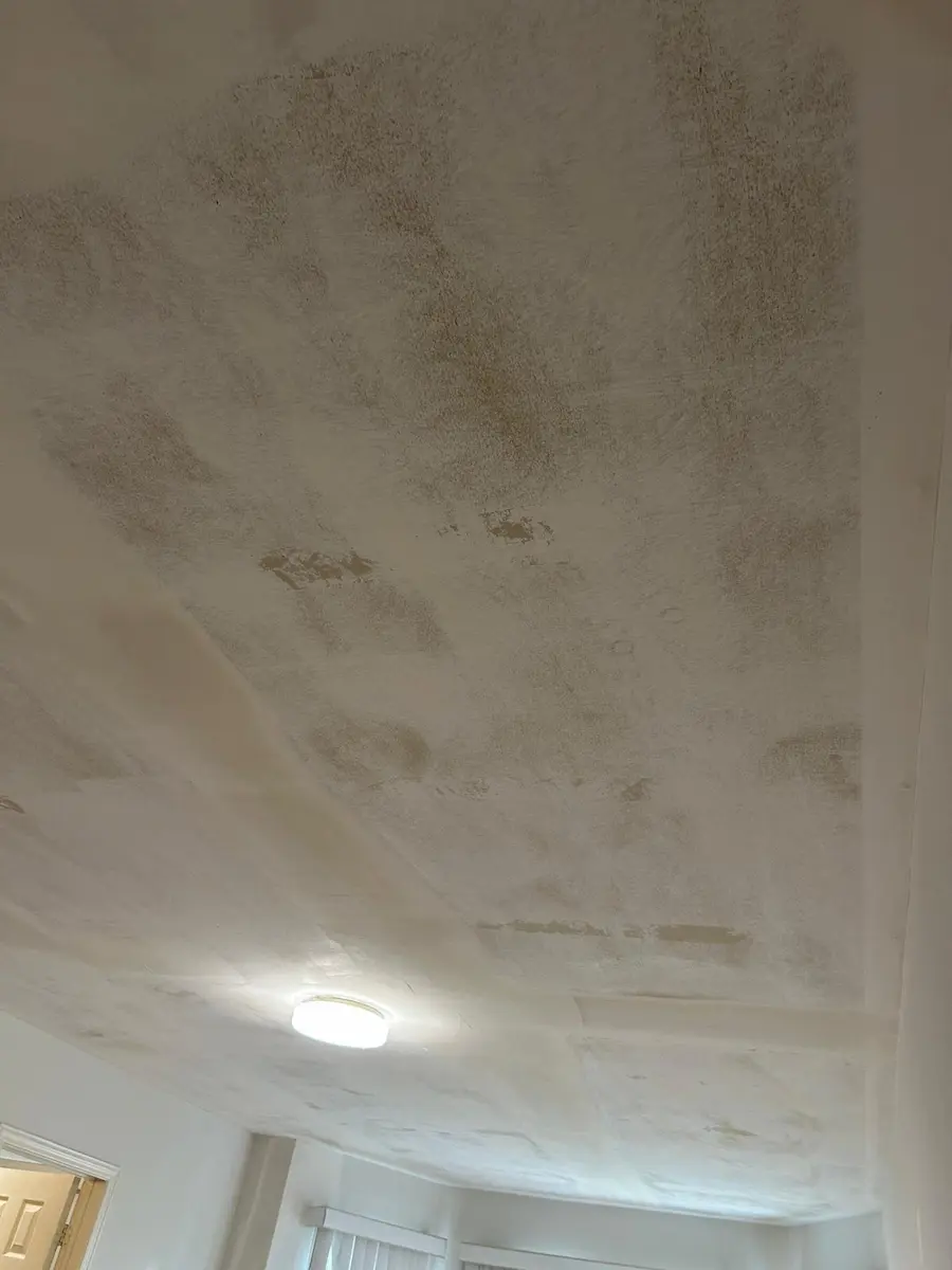 Popcorn Ceiling Removal and Painting in Toronto project by Premium Coat in Toronto - Finished work example 2